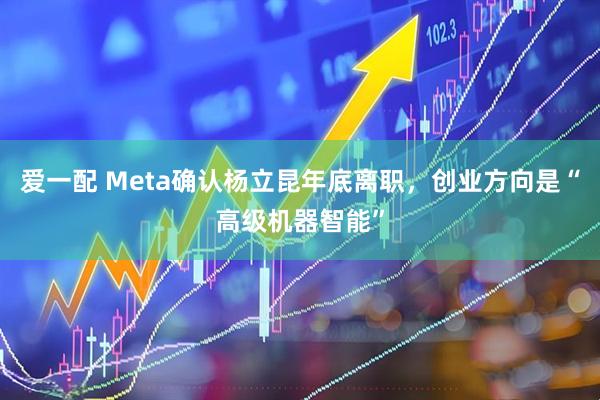 爱一配 Meta确认杨立昆年底离职，创业方向是“高级机器智能”